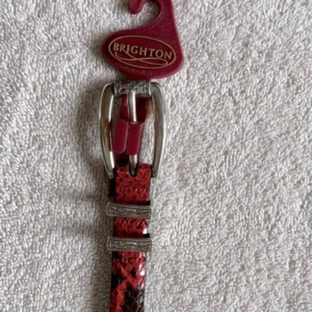 Brighton Red and Black Belt